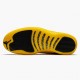 AJ 12 Retro University Gold Black/Black/University Gold 130690-070